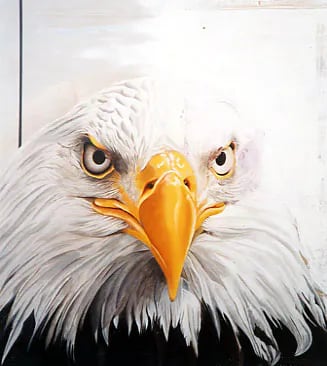 « Aigle », par Laure C.