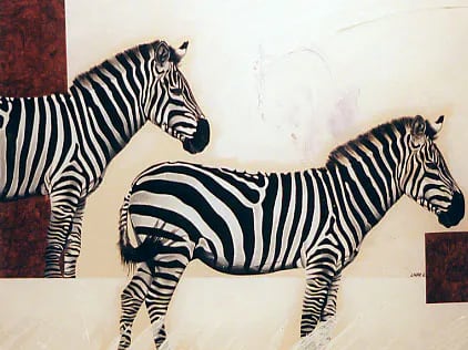 « Zebre », par Laure C.